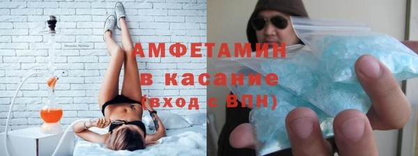 дмт Богданович