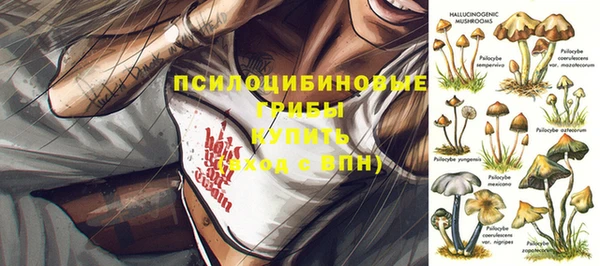первитин Медвежьегорск