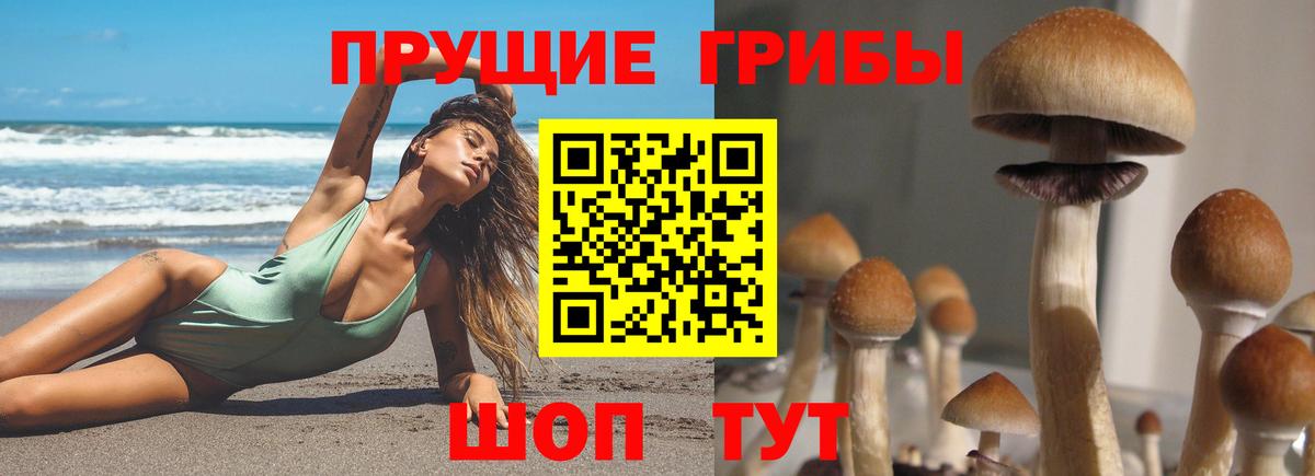купить наркоту  Вход с VPN  Хабаровск  Псилоцибиновые грибы MAGIC MUSHROOMS 