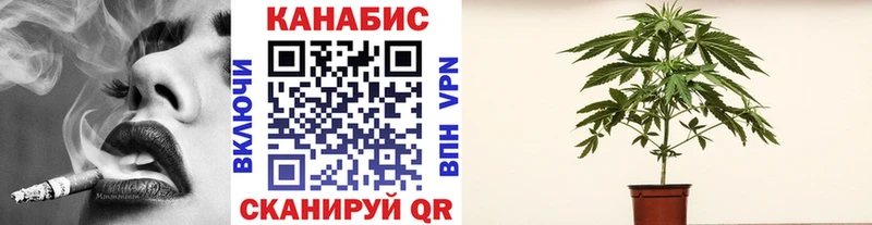 Бошки Шишки планчик  Хабаровск 